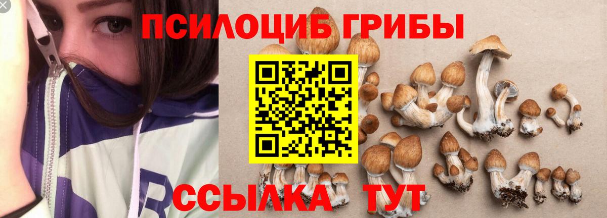Псилоцибиновые грибы мухоморы Тобольск